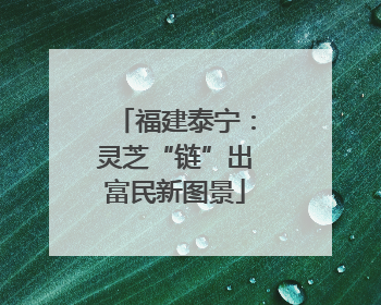 福建泰宁：灵芝“链”出富民新图景